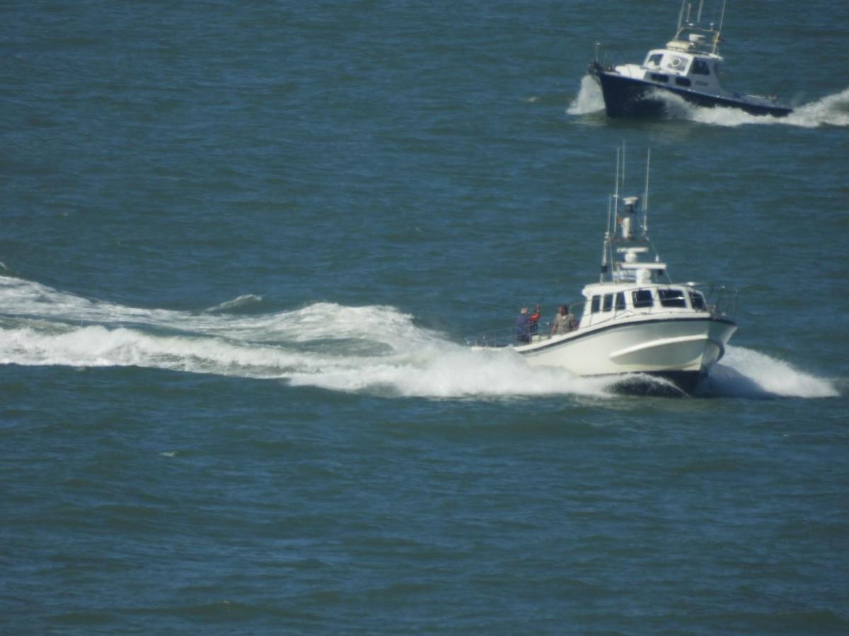 Seacityview Oostende Kültér fotó